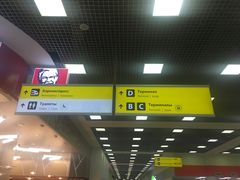 -谢列梅捷沃国际机场