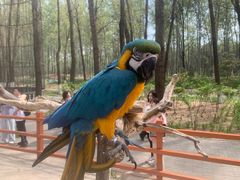 -北京野生动物园