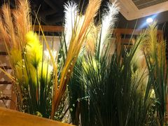 -十二舍·湯物素煮(江泰潤政店)