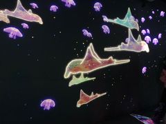 -暹罗海洋世界