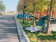 -春花秋色城市公园