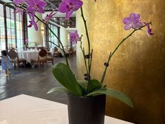 -白云中餐厅·粤菜·亚龙湾喜来登度假酒店