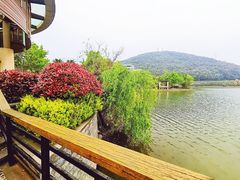 -宁波九龙湖开元度假村