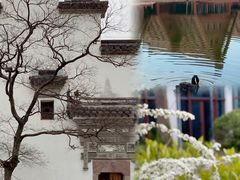 -广富林郊野公园