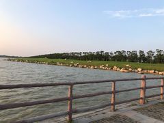 -江苏省泗阳县成子湖旅游度假区综合服务中心-停车场