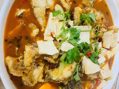 -煲来饱去冷水鱼