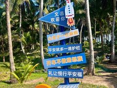 -东郊椰林