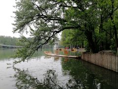 -东湖落雁景区