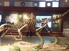 -自贡恐龙博物馆