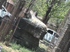 -秦皇岛野生动物园