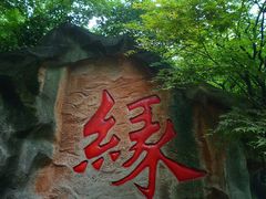 -杭州黄龙洞