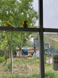 -萌宠亲子动物乐园(槐房万达店)