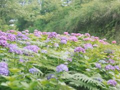 -重庆雨台山风景区