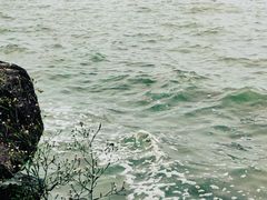 -东钱湖旅游度假区