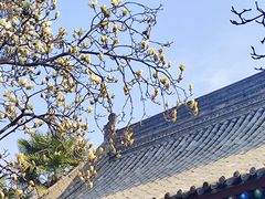 -万寿八仙宫