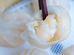 -金悦轩海鲜城(渔人码头店)