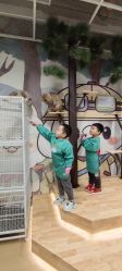-小象动悟公园(龙湖亦庄天街店)