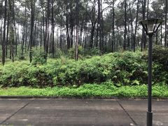 -广东财经大学(佛山校区)