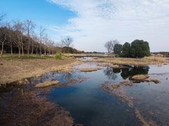 -贡湖湾湿地公园