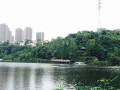 -重庆彩云湖湿地公园