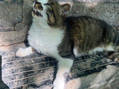 -终南山南五台景区