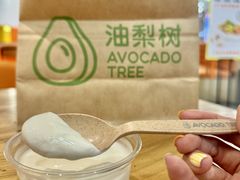 -油梨树 AVOCADO TREE(亮马桥店)