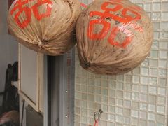 -洪馨椰子