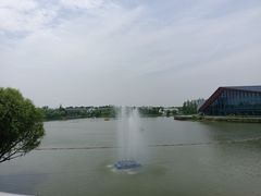 -上海长兴岛郊野公园