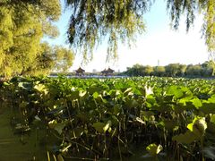 -长春市南湖公园