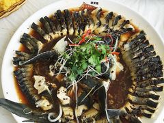 豆豉蒸鲟鱼-京北渔家傲