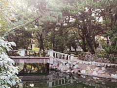 -叶家花园