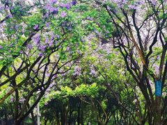 -重庆中央公园(渝北区)