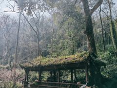 -青城山