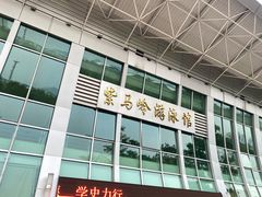 -紫马岭游泳馆