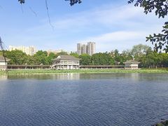 -荔湾湖公园