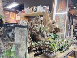 -周忆刺青原创设计定制