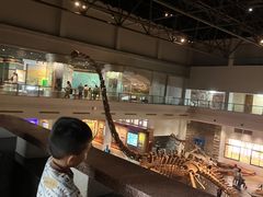 -自贡恐龙博物馆