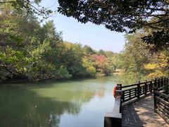 -白马涧龙池景区
