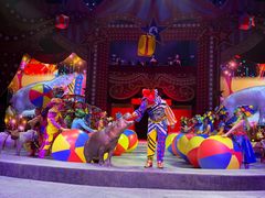 -珠海横琴长隆《卡卡虎奇遇记》