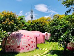 -漳州滨海火山岛自然生态风景区