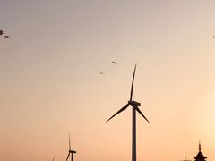 -上海棕榈滩海景酒店