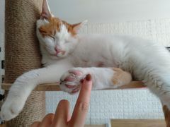 -平行世界·猫咖(首经贸店)
