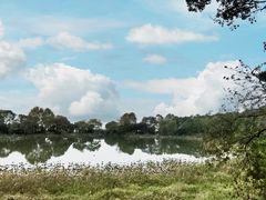 -上海市保健医疗中心