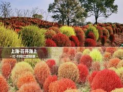 -花开海上生态园