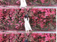 -厦门国家会计学院