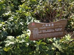 -苏州太湖国家湿地公园
