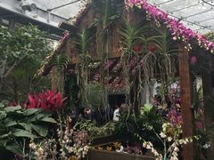 -北京植物园-展览温室