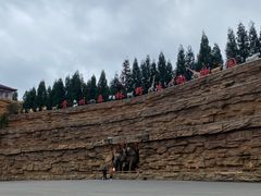 -贵州森林野生动物园