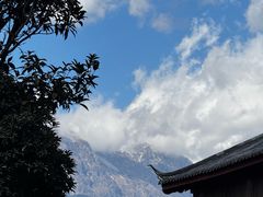-大冰的小屋