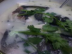-全乐鱼馆·淳牌有机鱼直营店